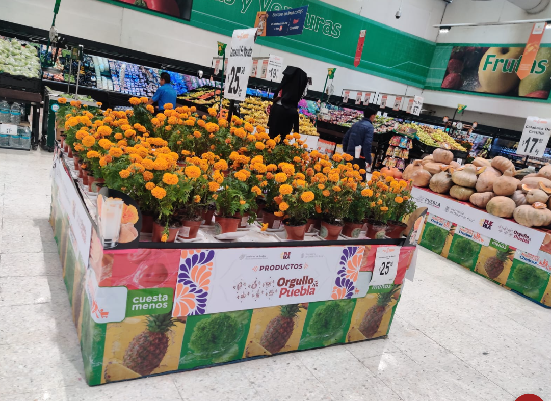 Impulsa gobierno de Puebla la venta de flor de cempasúchil