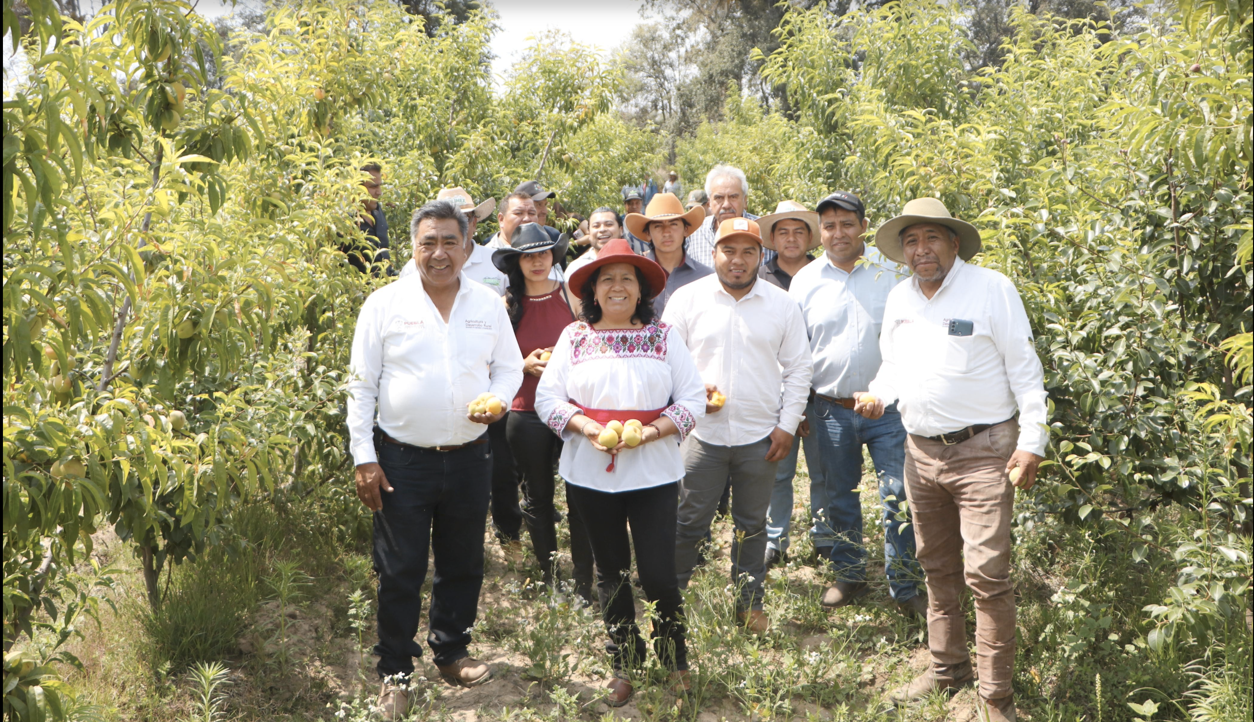 SADR recorre parcelas frutícolas en la zona del Izta-Popo