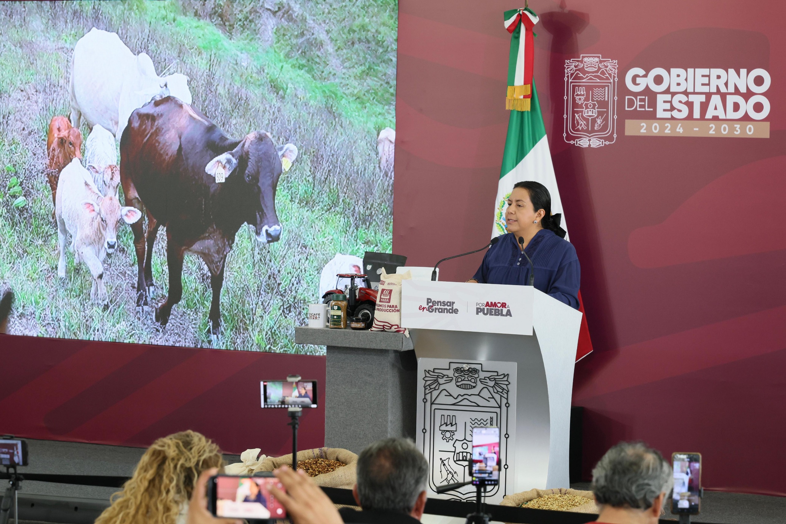 Puebla intensifica combate al gusano barrenador con vigilancia, capacitación y prevención