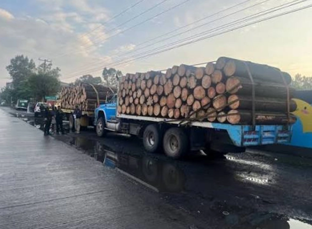 Decomisan en Morelia tres camiones que transportaban madera ilegal