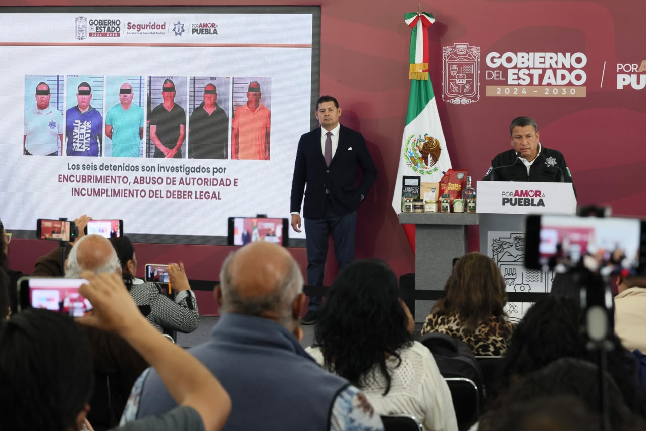 Con inteligencia y estrategia, Gobierno Estatal desmantela producción de estupefacientes en Sierra Norte